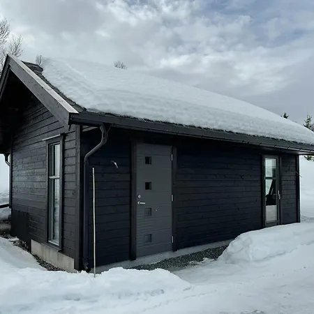 Family With Skogshorn Views Ferienhaus Gol