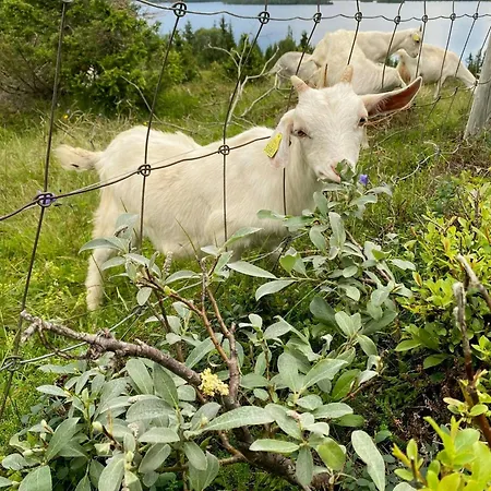 Ferienhaus Family With Skogshorn Views Gol